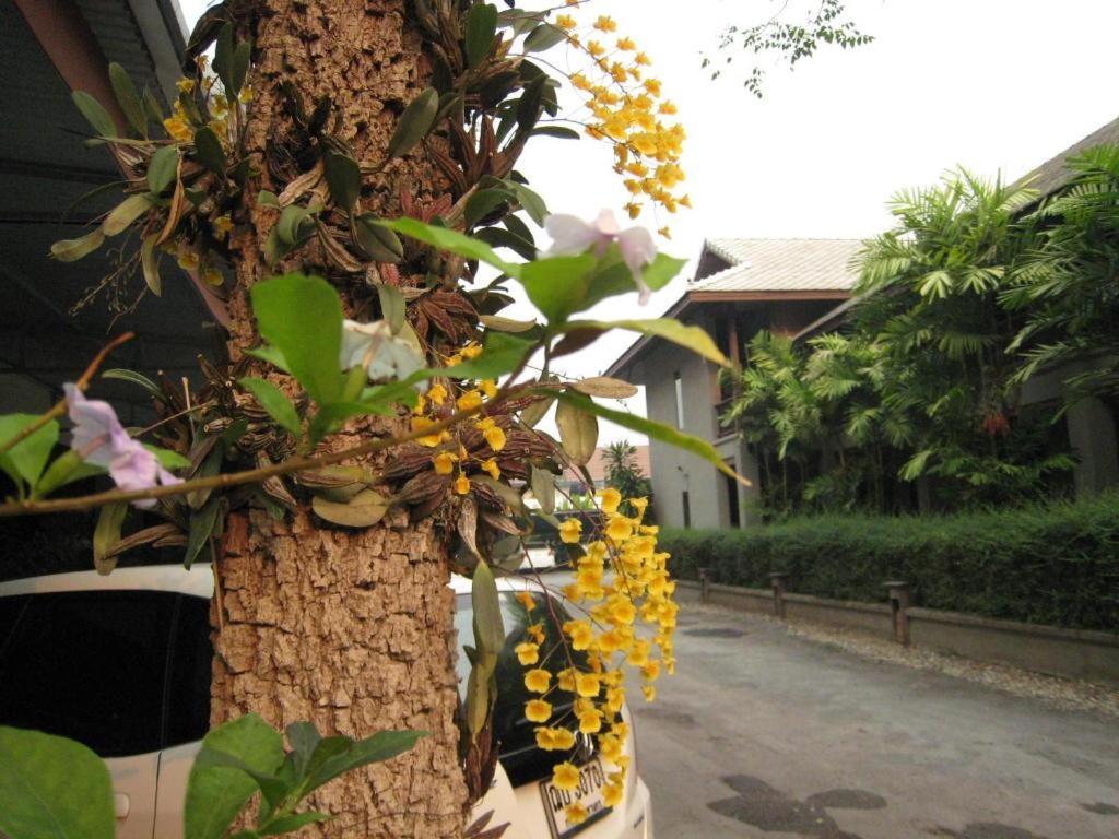 Baan Lapoon Hotel Lamphun Exterior photo